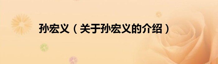 孙宏义（关于孙宏义的介绍）