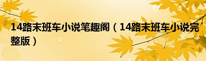 14路末班车小说笔趣阁（14路末班车小说完整版）