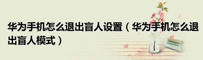 华为手机怎么退出盲人设置（华为手机怎么退出盲人模式）