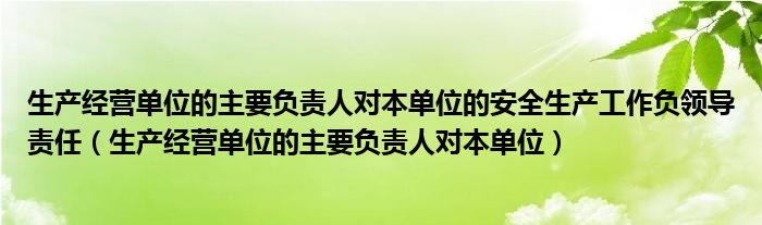 生产经营单位的主要负责人对本单位的安全生产工作负领导责任（生产经营单位的主要负责人对本单位）