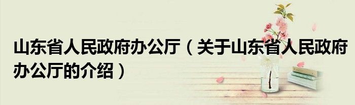 山东省人民政府办公厅（关于山东省人民政府办公厅的介绍）