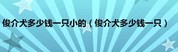 俊介犬多少钱一只小的（俊介犬多少钱一只）