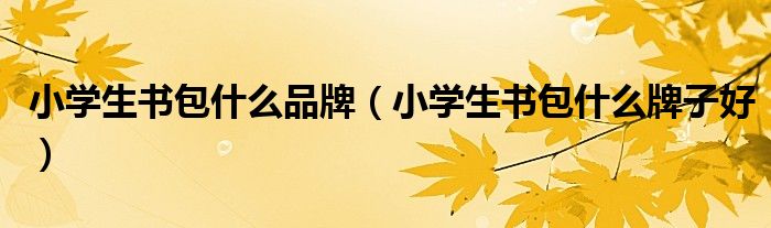 小学生书包什么品牌（小学生书包什么牌子好）