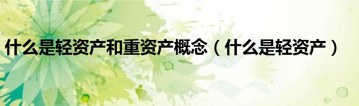 什么是轻资产和重资产概念（什么是轻资产）