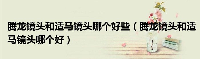 腾龙镜头和适马镜头哪个好些（腾龙镜头和适马镜头哪个好）