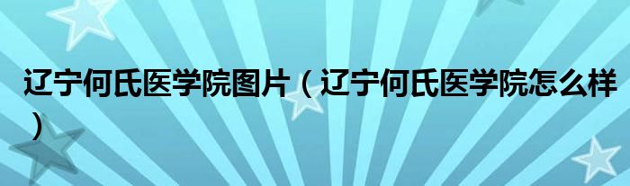 辽宁何氏医学院图片（辽宁何氏医学院怎么样）