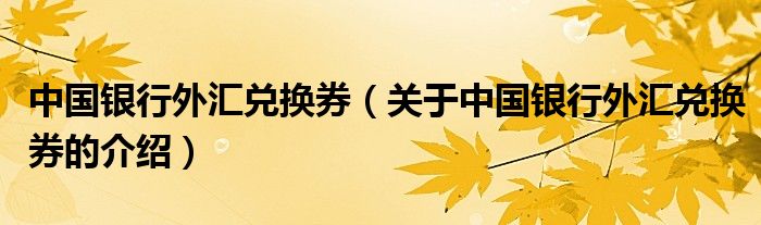 中国银行外汇兑换券（关于中国银行外汇兑换券的介绍）