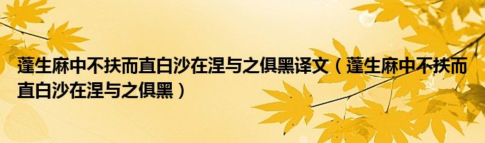 蓬生麻中不扶而直白沙在涅与之俱黑译文（蓬生麻中不扶而直白沙在涅与之俱黑）