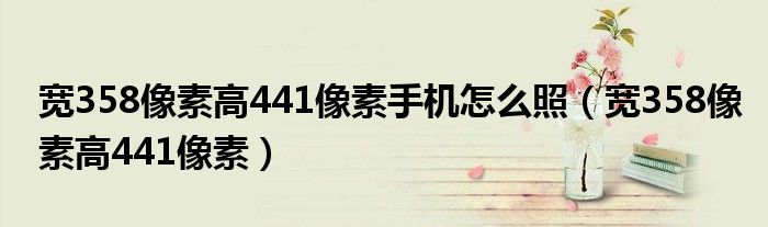 宽358像素高441像素手机怎么照（宽358像素高441像素）