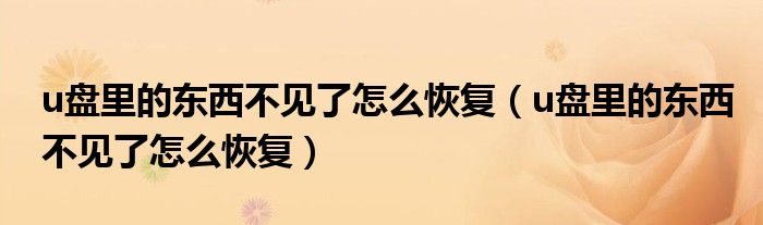 u盘里的东西不见了怎么恢复（u盘里的东西不见了怎么恢复）