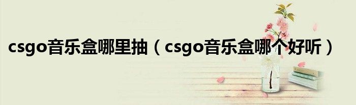 csgo音乐盒哪里抽（csgo音乐盒哪个好听）