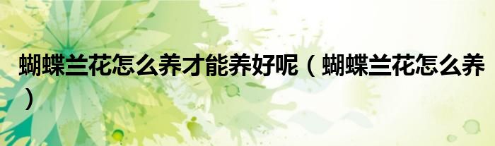 蝴蝶兰花怎么养才能养好呢（蝴蝶兰花怎么养）