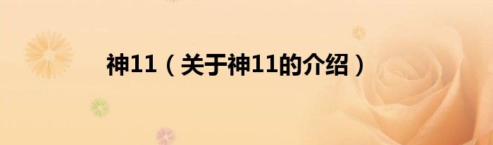 神11（关于神11的介绍）