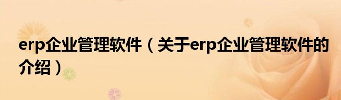 erp企业管理软件（关于erp企业管理软件的介绍）