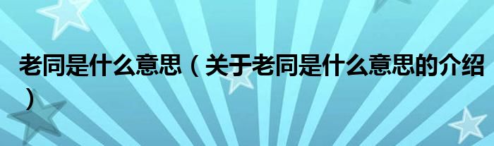 老同是什么意思（关于老同是什么意思的介绍）