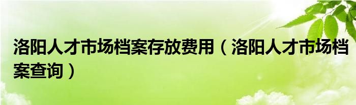 洛阳人才市场档案存放费用（洛阳人才市场档案查询）