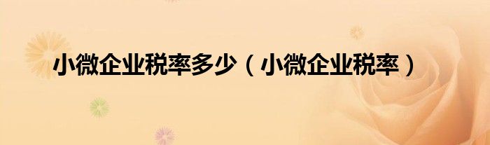 小微企业税率多少（小微企业税率）