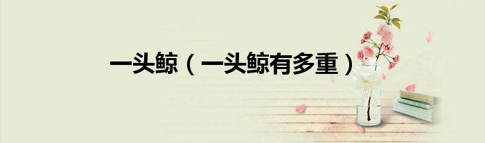 一头鲸（一头鲸有多重）