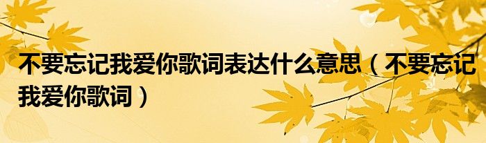 不要忘记我爱你歌词表达什么意思（不要忘记我爱你歌词）