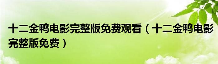 十二金鸭电影完整版免费观看（十二金鸭电影完整版免费）