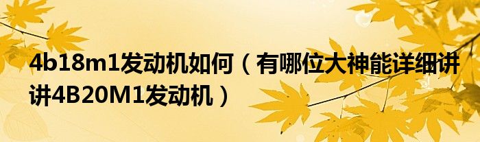 4b18m1发动机如何（有哪位大神能详细讲讲4B20M1发动机）