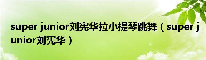 super junior刘宪华拉小提琴跳舞（super junior刘宪华）