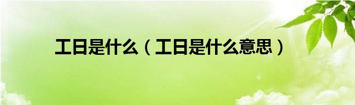 工日是什么（工日是什么意思）