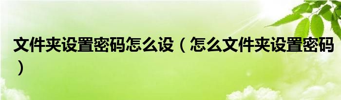 文件夹设置密码怎么设（怎么文件夹设置密码）