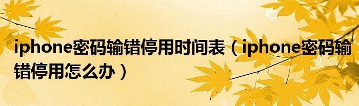iphone密码输错停用时间表（iphone密码输错停用怎么办）