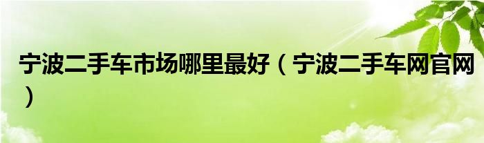 宁波二手车市场哪里最好（宁波二手车网官网）