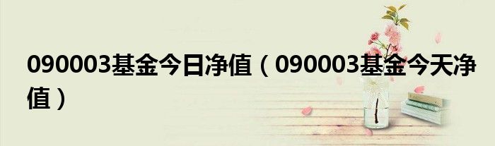 090003基金今日净值（090003基金今天净值）