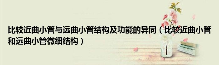 比较近曲小管与远曲小管结构及功能的异同（比较近曲小管和远曲小管微细结构）