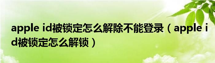 apple id被锁定怎么解除不能登录（apple id被锁定怎么解锁）