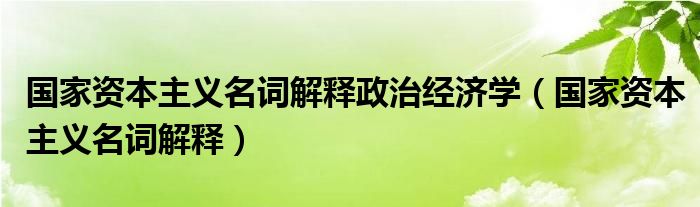国家资本主义名词解释政治经济学（国家资本主义名词解释）