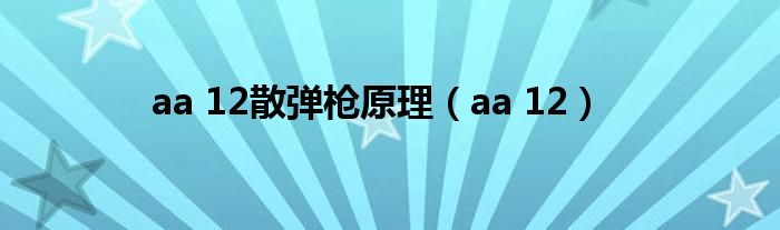 aa 12散弹枪原理（aa 12）