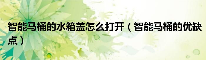 智能马桶的水箱盖怎么打开（智能马桶的优缺点）
