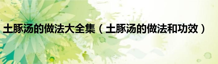 土豚汤的做法大全集（土豚汤的做法和功效）