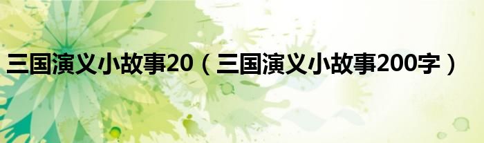 三国演义小故事20（三国演义小故事200字）
