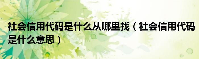 社会信用代码是什么从哪里找（社会信用代码是什么意思）