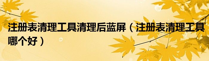 注册表清理工具清理后蓝屏（注册表清理工具哪个好）