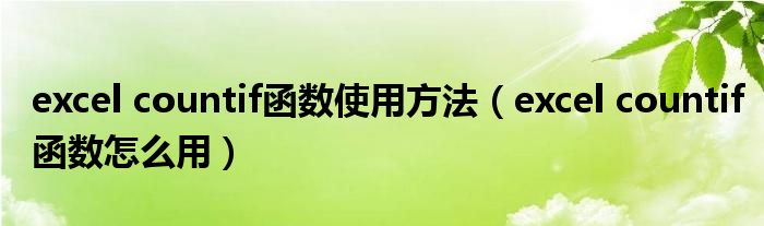excel countif函数使用方法（excel countif函数怎么用）