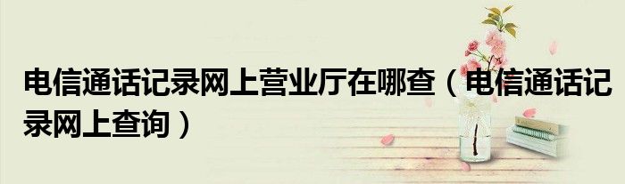 电信通话记录网上营业厅在哪查（电信通话记录网上查询）
