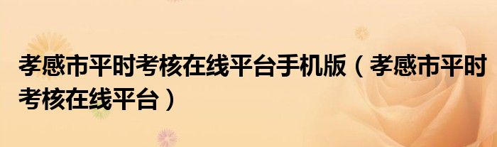 孝感市平时考核在线平台手机版（孝感市平时考核在线平台）