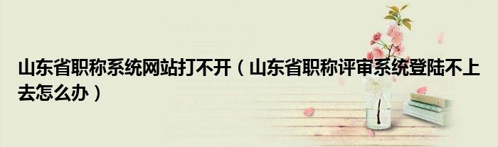 山东省职称系统网站打不开（山东省职称评审系统登陆不上去怎么办）