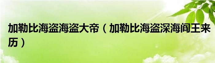加勒比海盗海盗大帝（加勒比海盗深海阎王来历）
