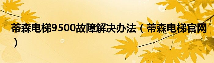 蒂森电梯9500故障解决办法（蒂森电梯官网）