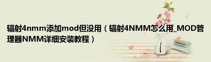 辐射4nmm添加mod但没用（辐射4NMM怎么用_MOD管理器NMM详细安装教程）