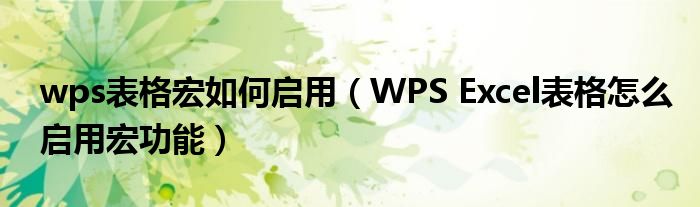 wps表格宏如何启用（WPS Excel表格怎么启用宏功能）