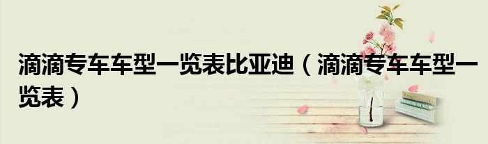 滴滴专车车型一览表比亚迪（滴滴专车车型一览表）