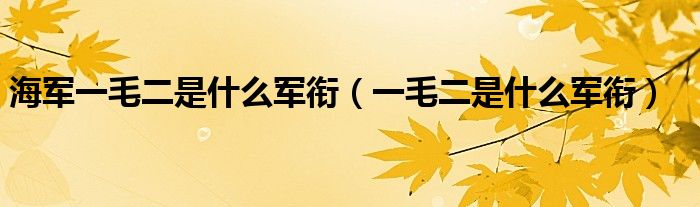 海军一毛二是什么军衔（一毛二是什么军衔）